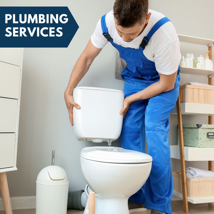 Plumbing Company in Wilton, IA
